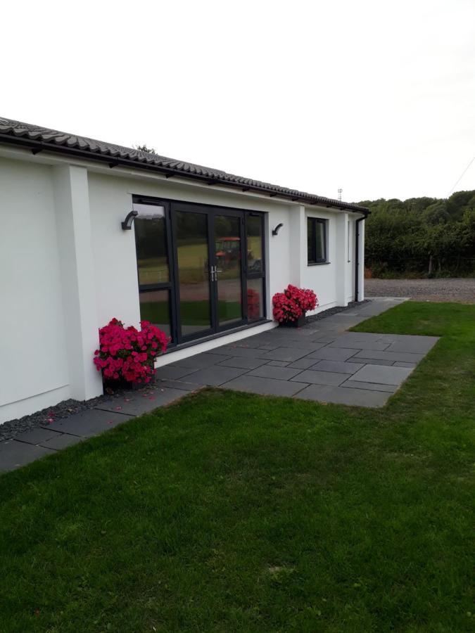 Felton  Foxholes Accommodation מראה חיצוני תמונה